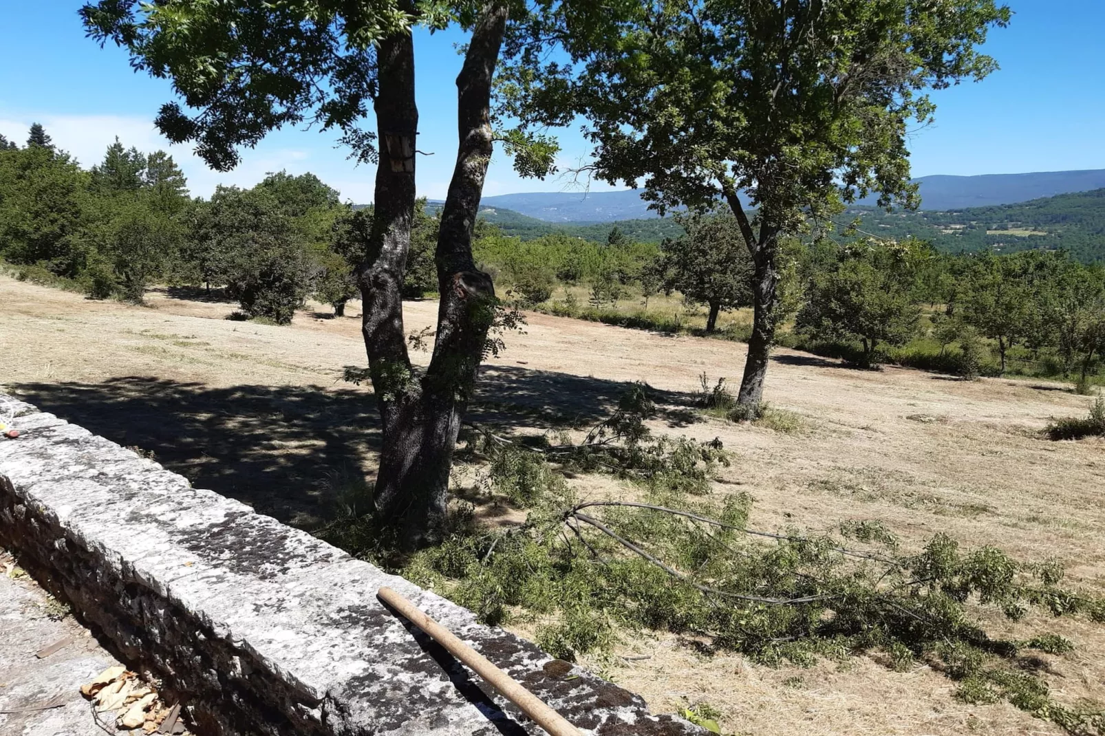 Luberon - Gebieden zomer 1km