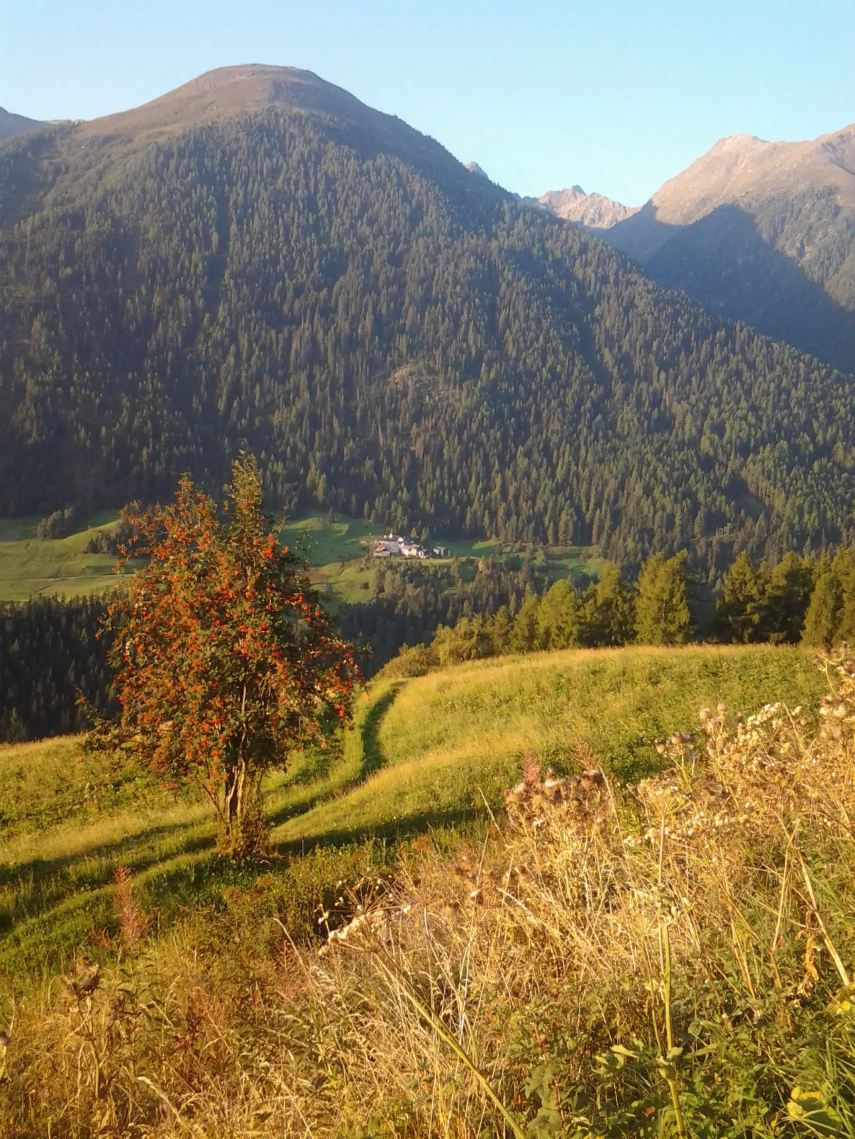 Chasa Crusch 117, (Ardez). - Buiten