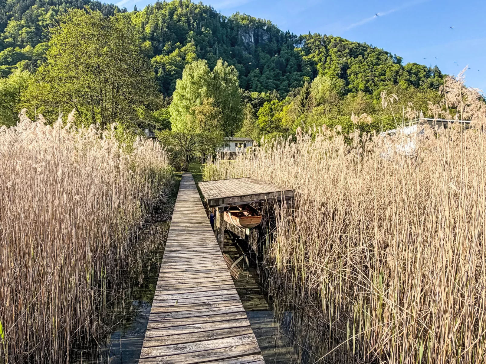 Seeidylle Ossiacher See Apt. 1 - Buiten