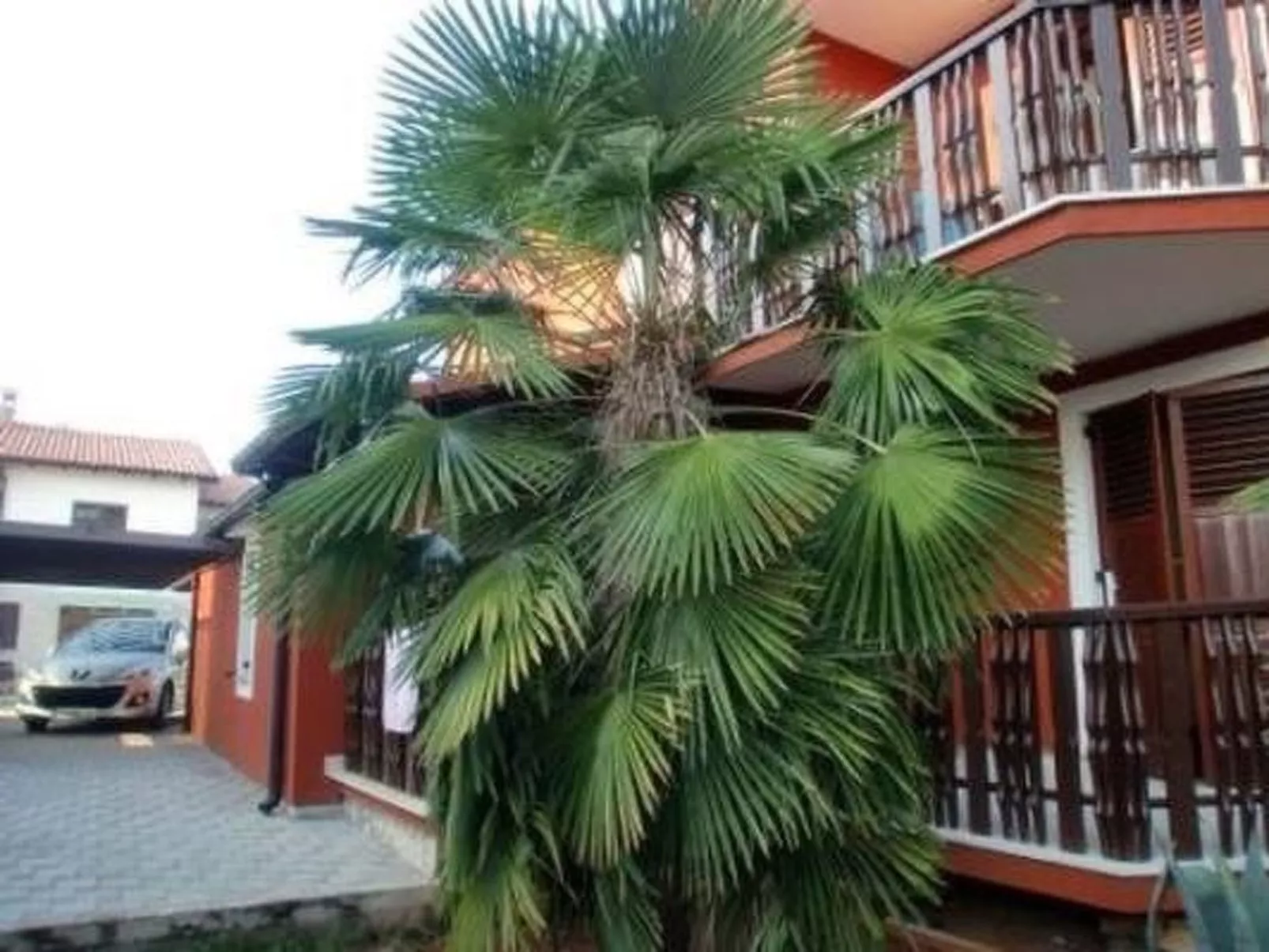 Große Ferienwohnung in Novigrad mit Schönem Garten - Image-tags.info