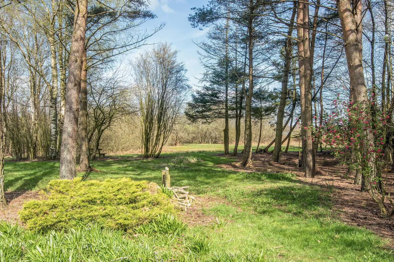 4 sterren vakantie huis in Ansager
