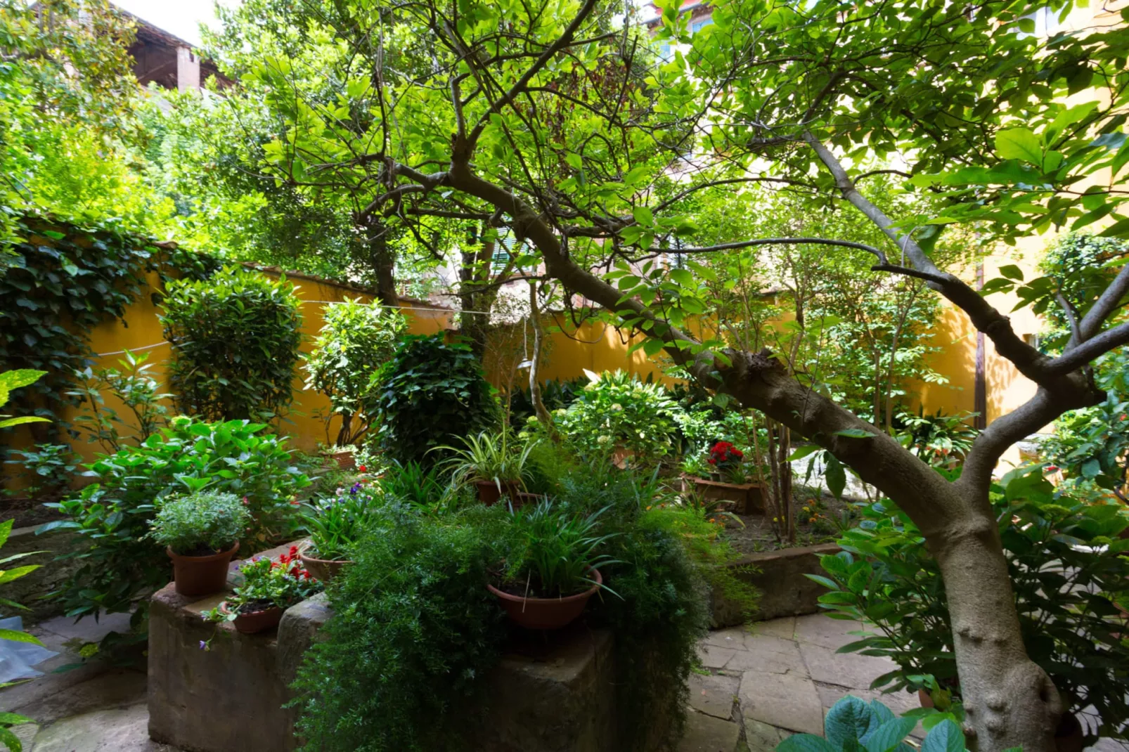 Casa Giustina - Tuinen zomer