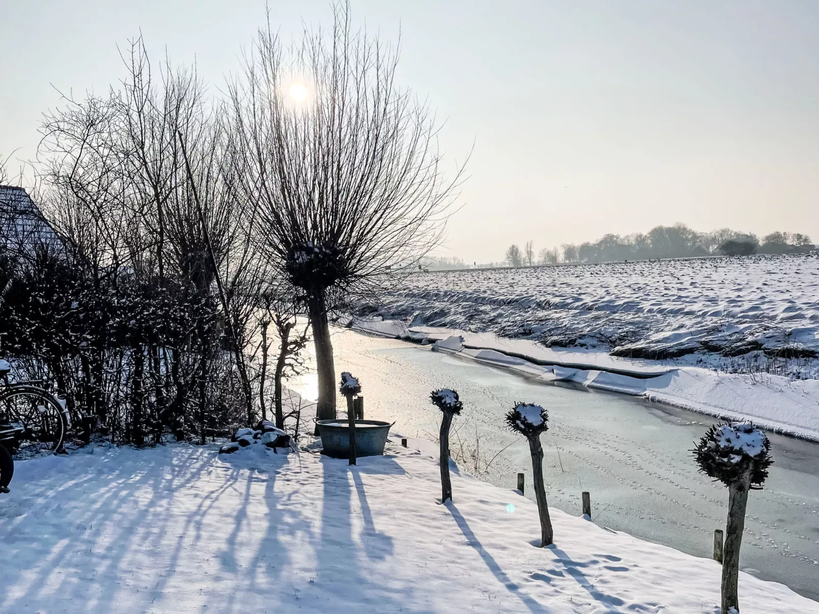 Friesje - Buiten