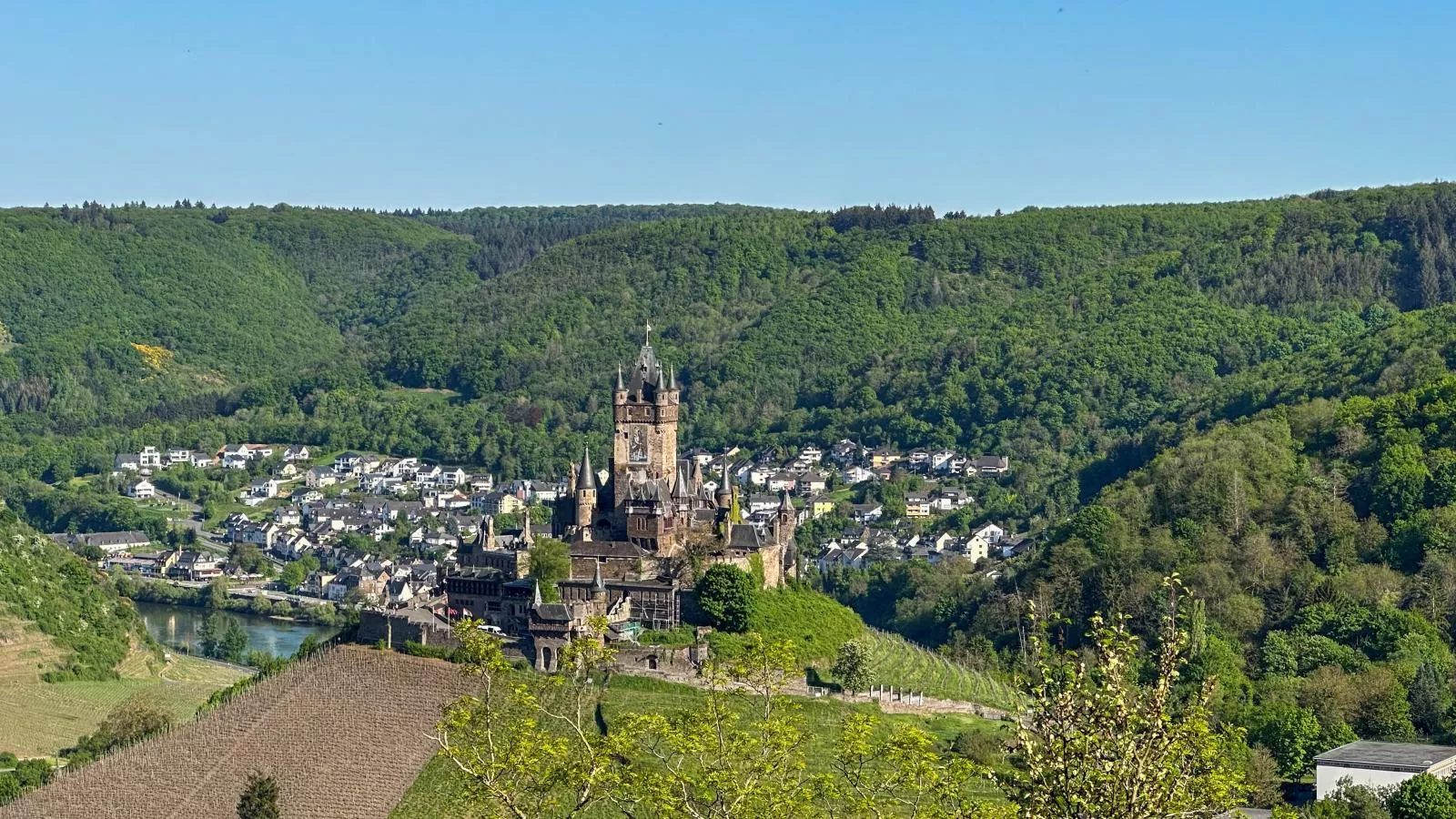 Cochem 2 - Gebieden zomer 1km