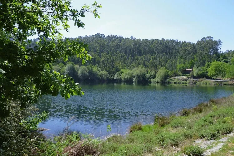 Holiday home Vale de Cambra - Waterzicht