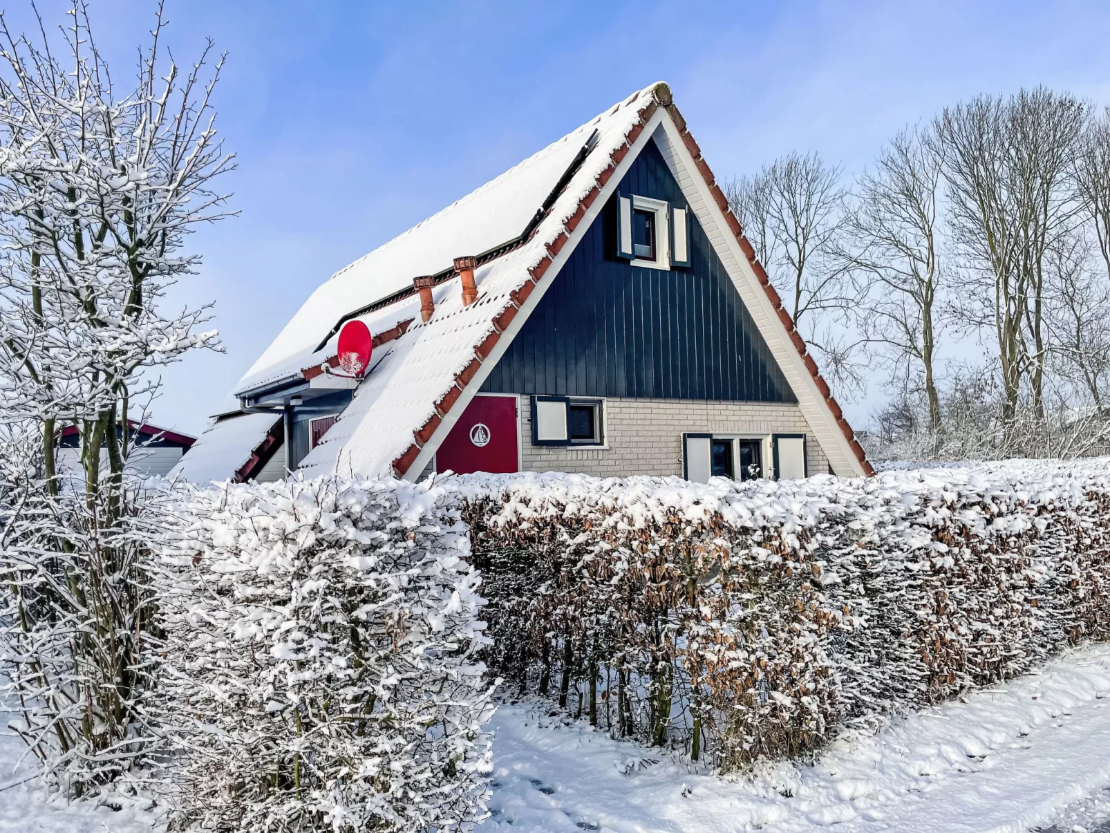 Friesje - Buiten