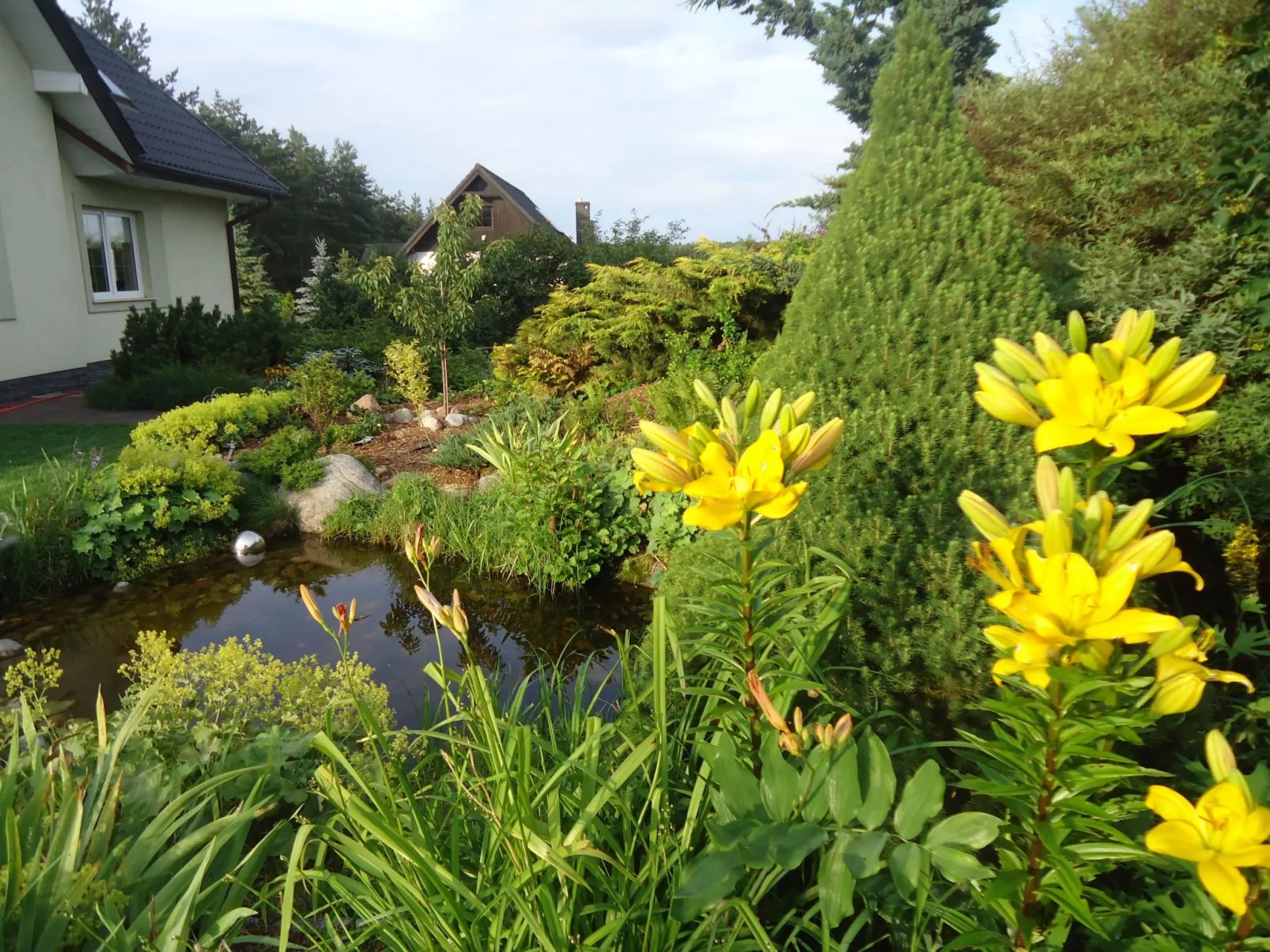 Sunline - Buiten