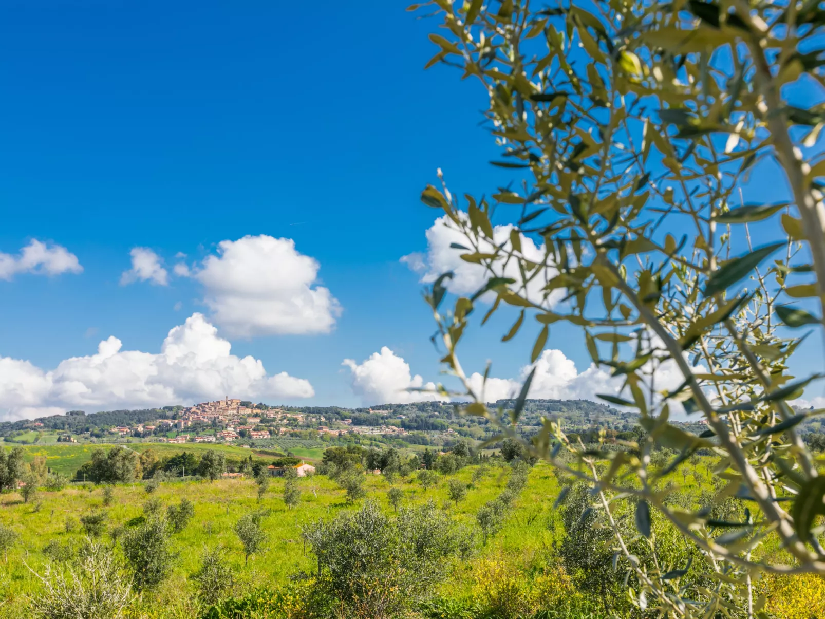 Il Sogno Toscano - Omgeving