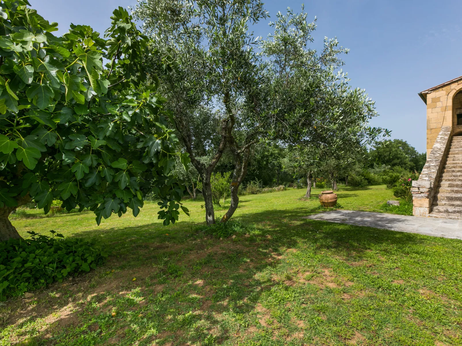 Lavanda-Buiten