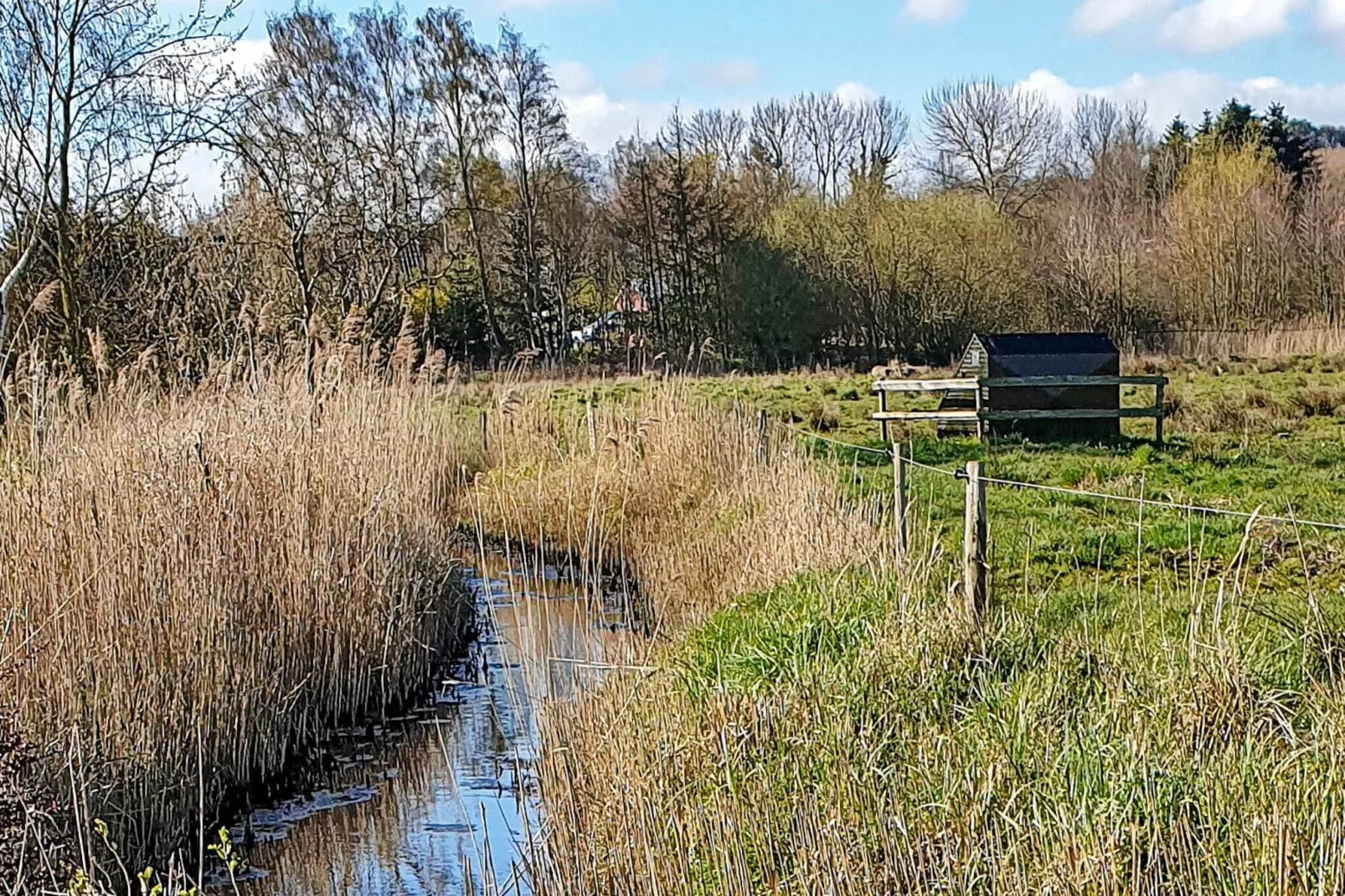 4 persoons vakantie huis in Broager-Uitzicht