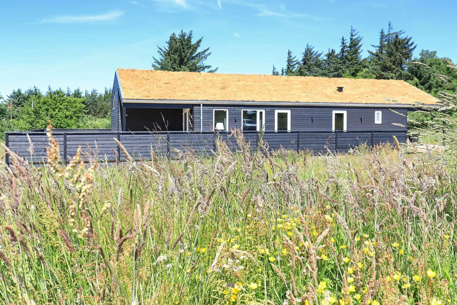 Ontspannend vakantiehuis in Saltum met sauna-Uitzicht