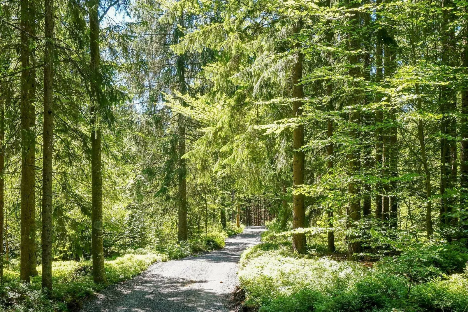 8 persoons vakantie huis in HYLTEBRUK-Buitenlucht