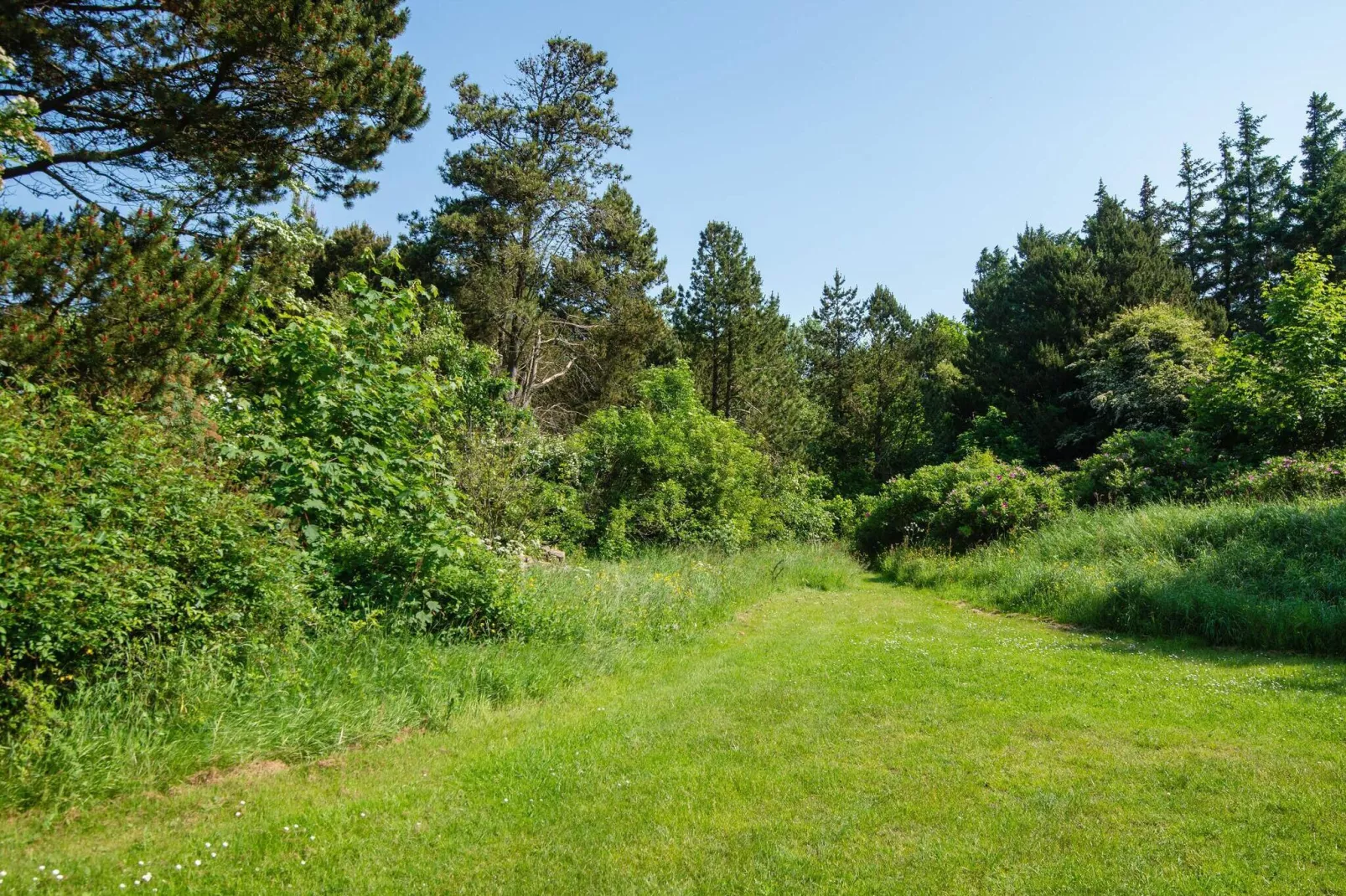 Rustiek vakantiehuis met tuin in Ulfborg-Uitzicht