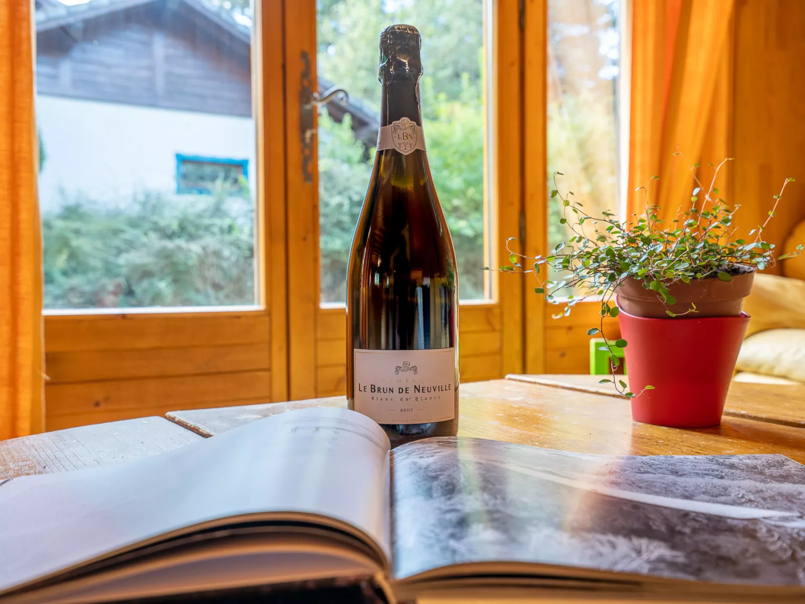 Chalet Mendiaux-Binnen