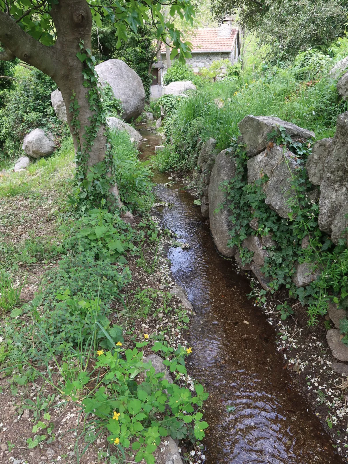 Chassezac-Buiten