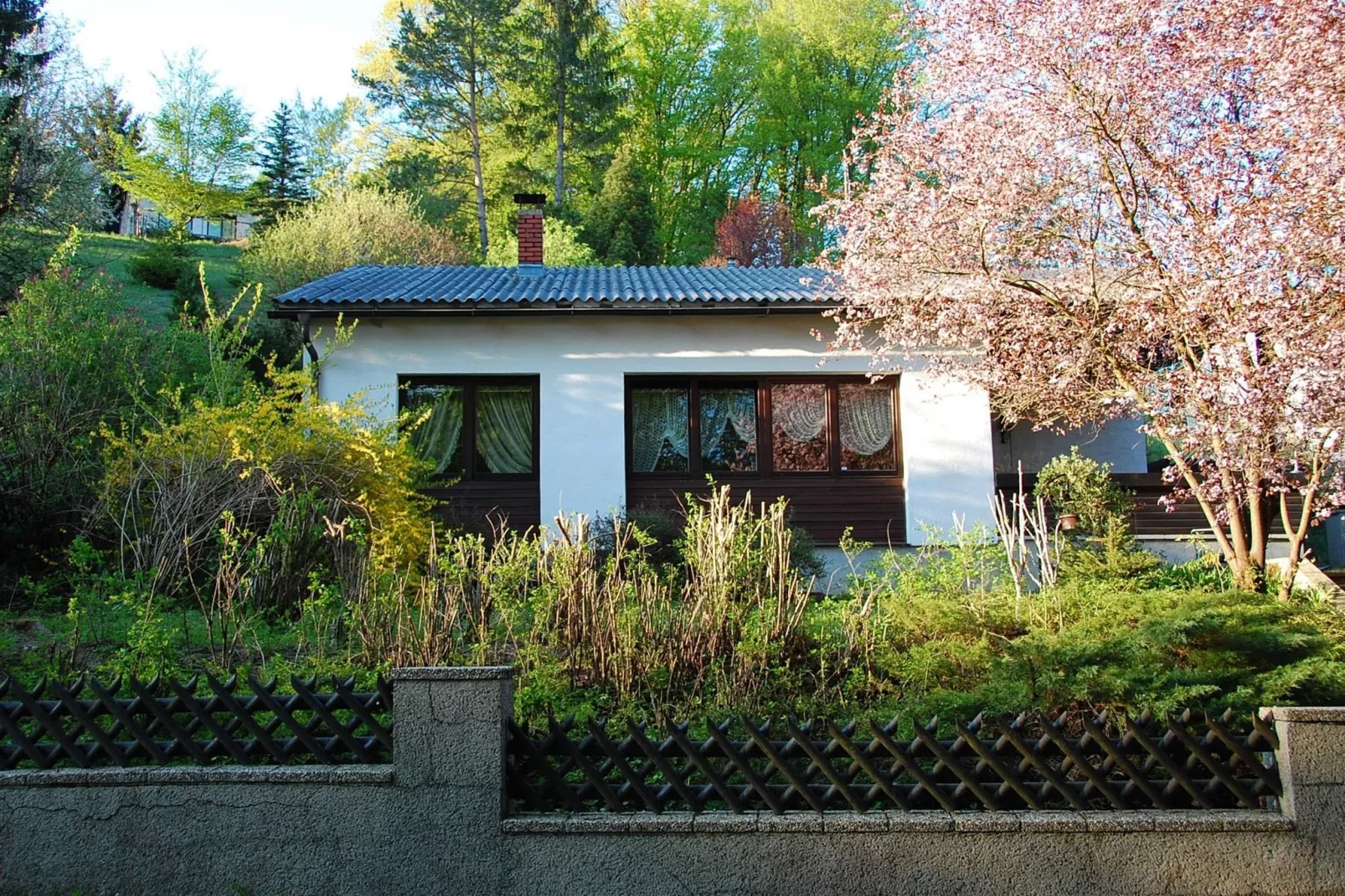 Bungalow Wienerwald-Buitenkant zomer