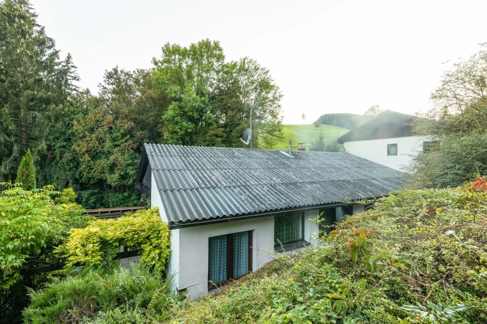 Bungalow Wienerwald-Buitenkant zomer