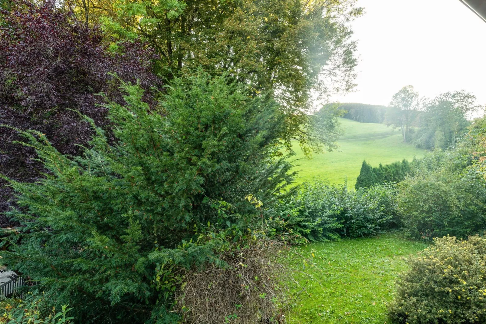 Bungalow Wienerwald-Tuinen zomer