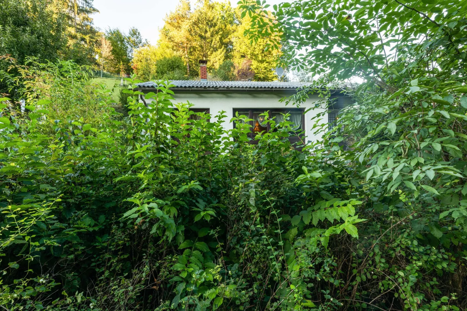 Bungalow Wienerwald-Tuinen zomer