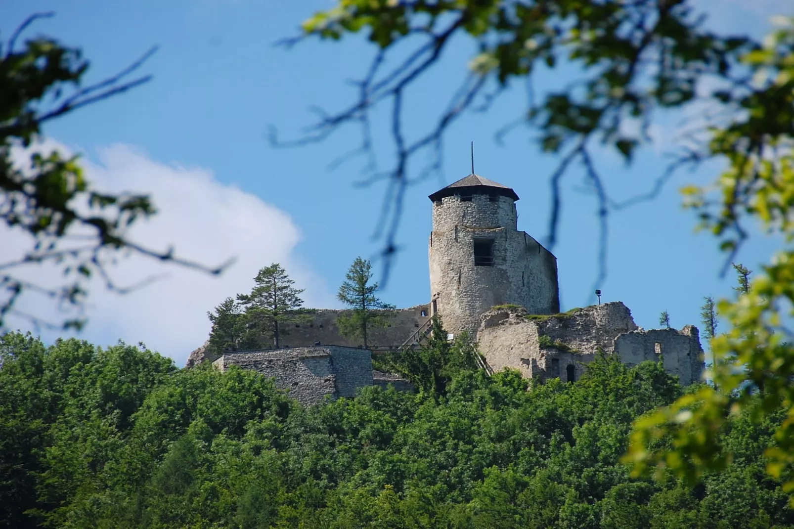 Bungalow Wienerwald-Gebieden zomer 5km