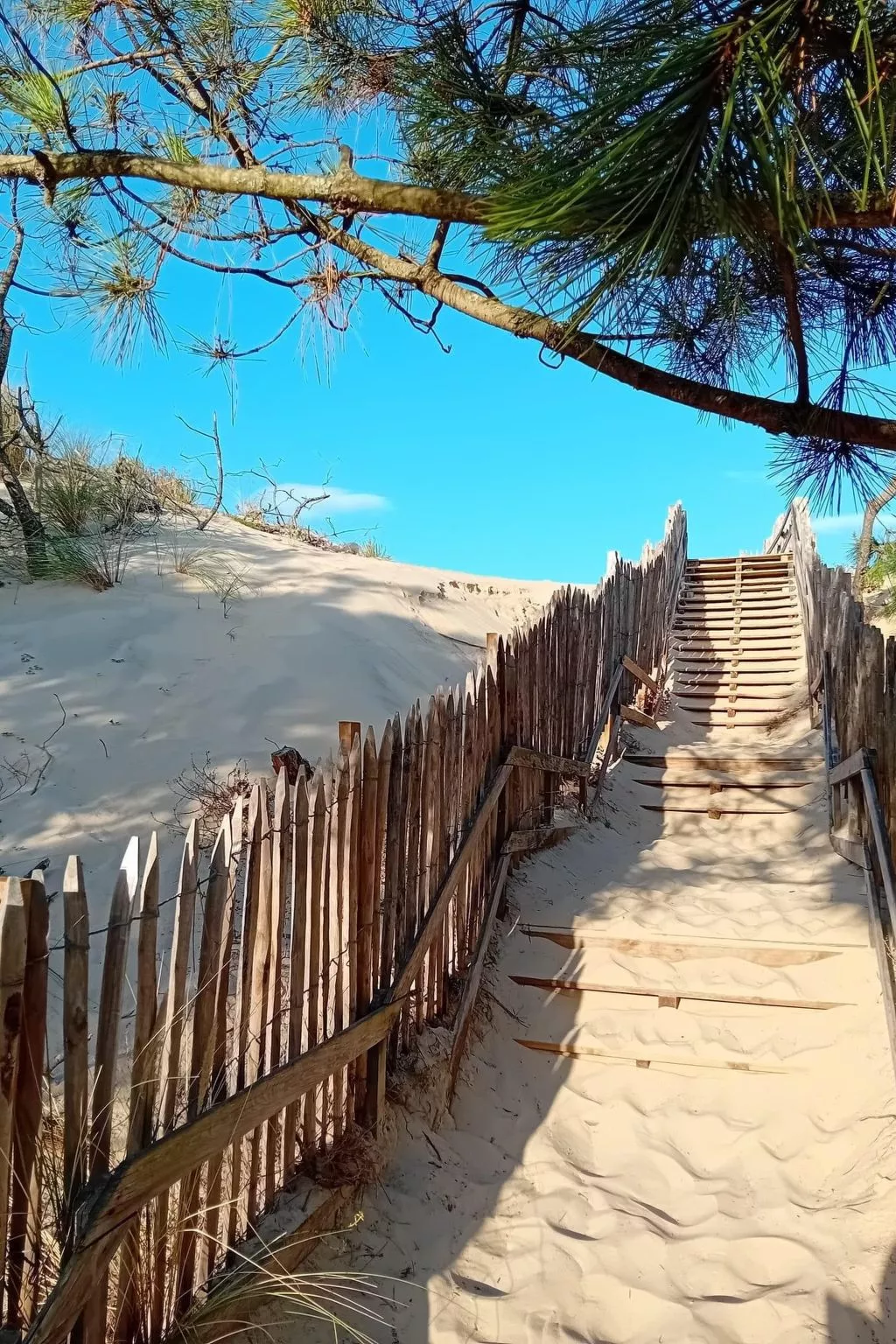 Promenade des Pins-Omgeving