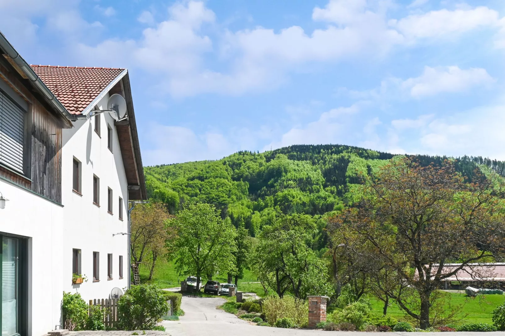 Farmhouse Apartment Scheibbs