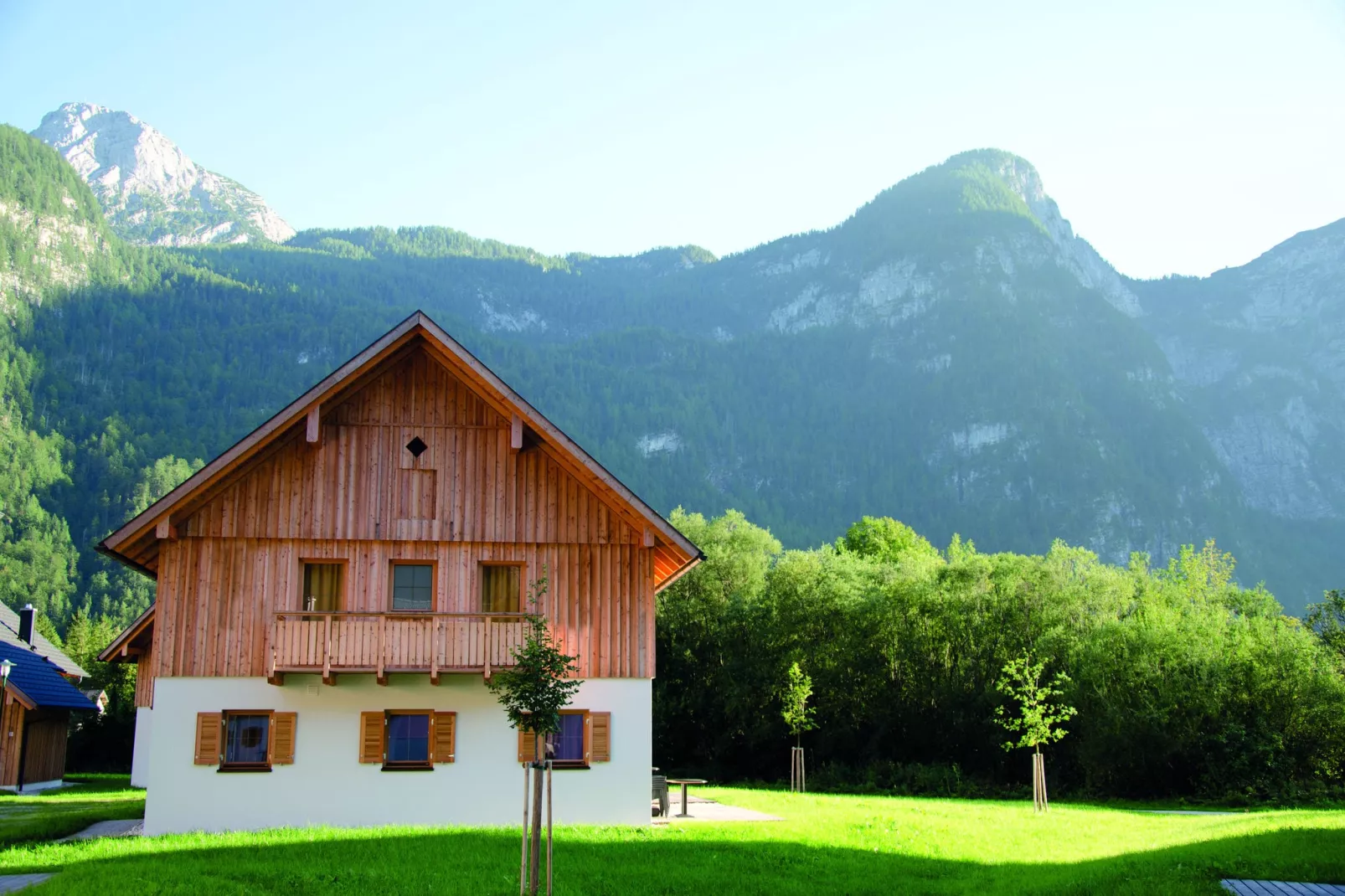 Luxery Salzkammergut Studio Comfort F-Buitenkant zomer