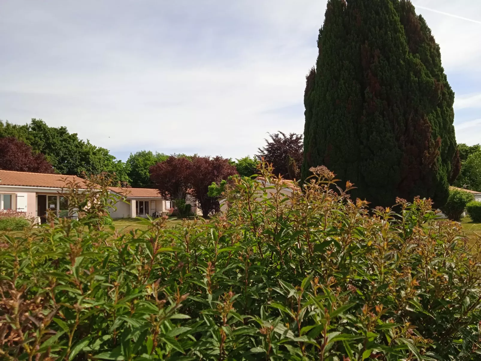 Le Domaine du Lambon-Buiten