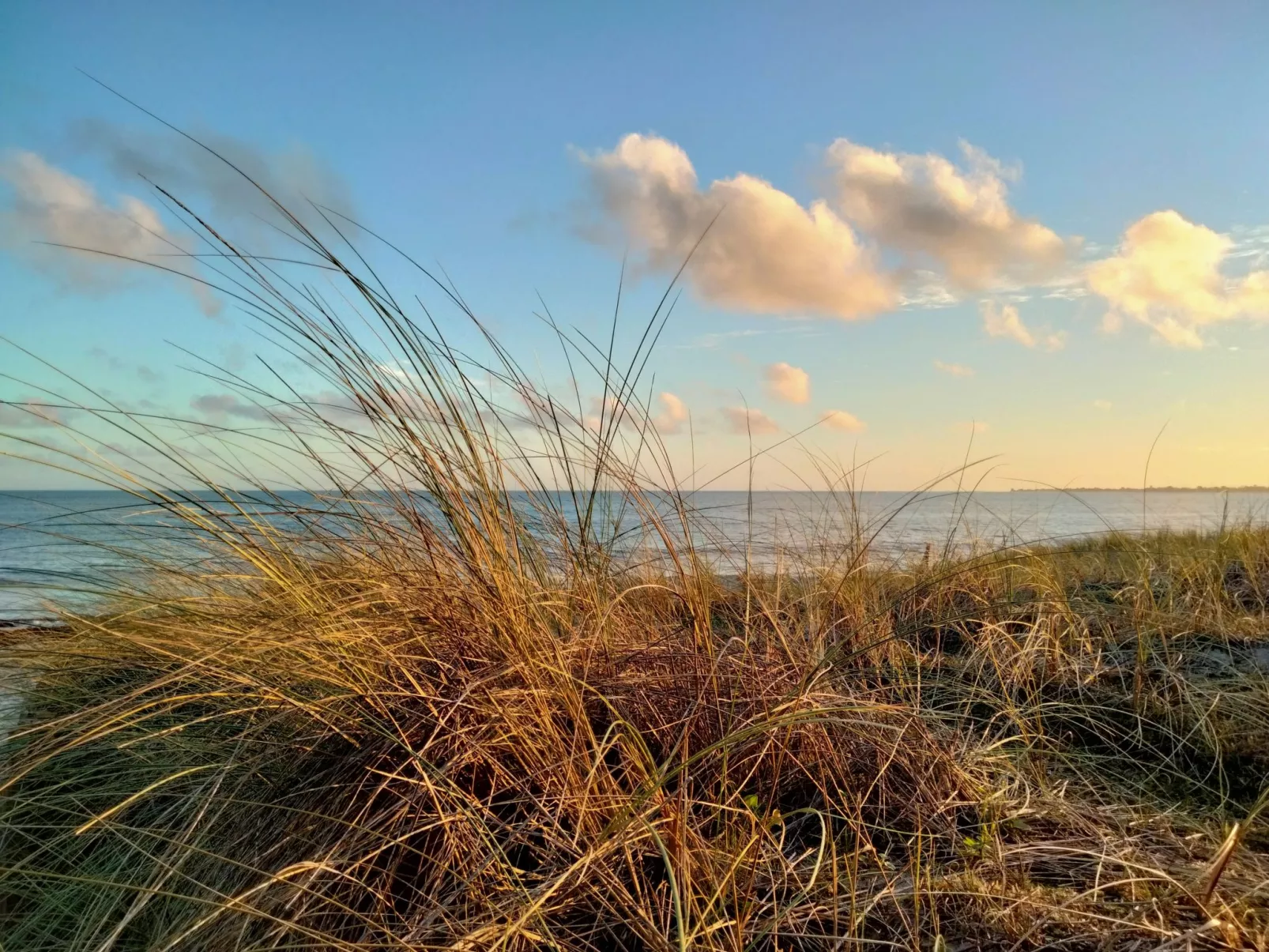 Entre terre et mer-Omgeving