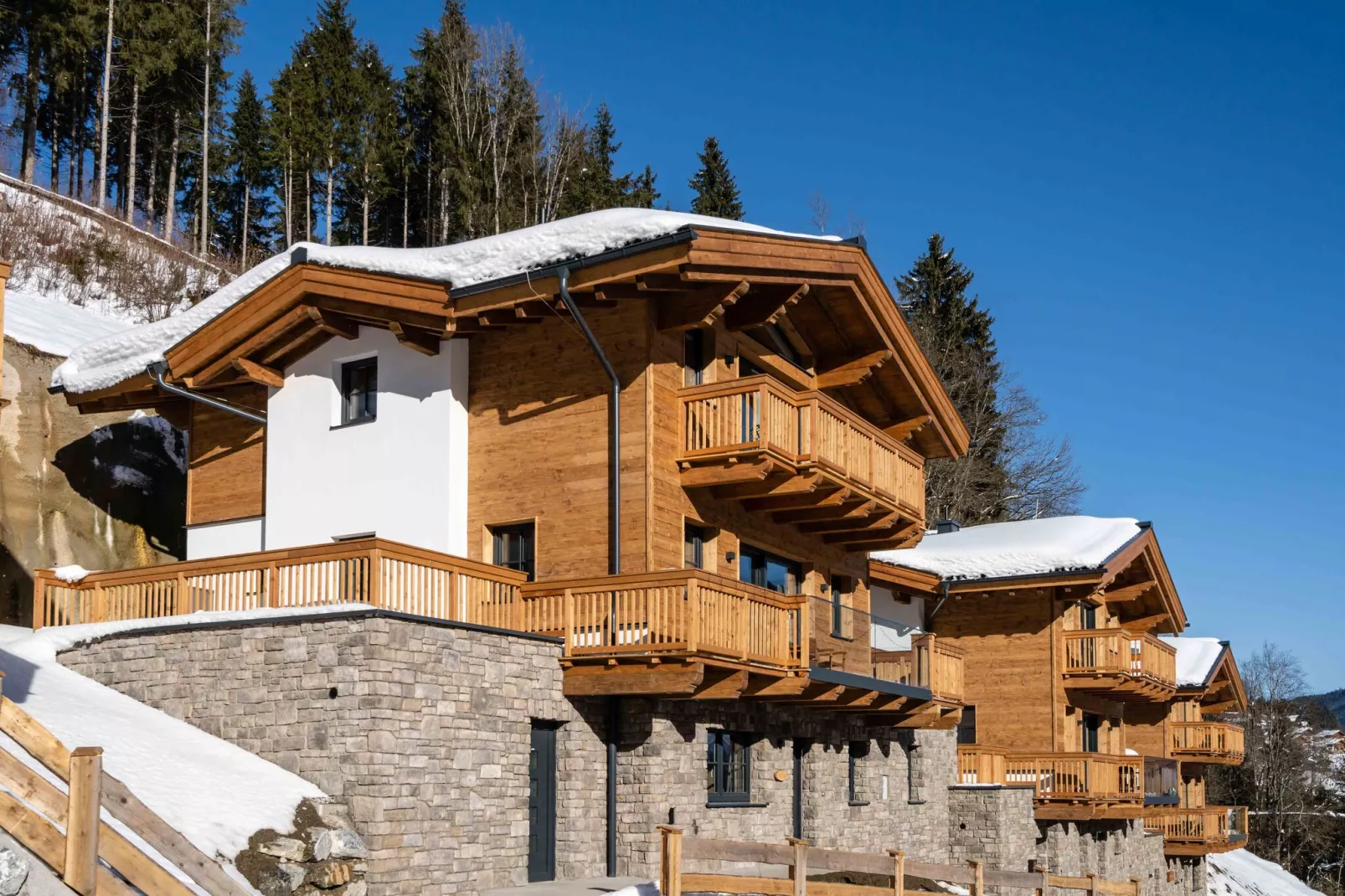 Chalet Elisabeth-Exterieur winter