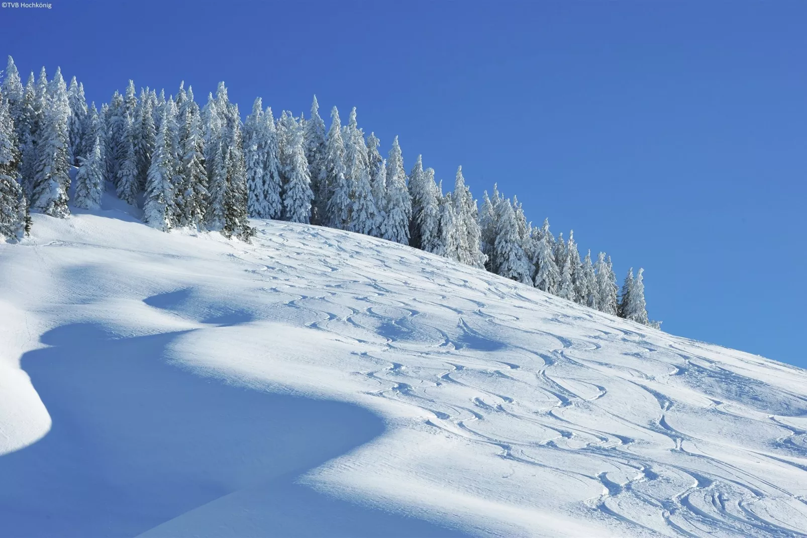 Chalet Can Amper-Gebied winter 1km