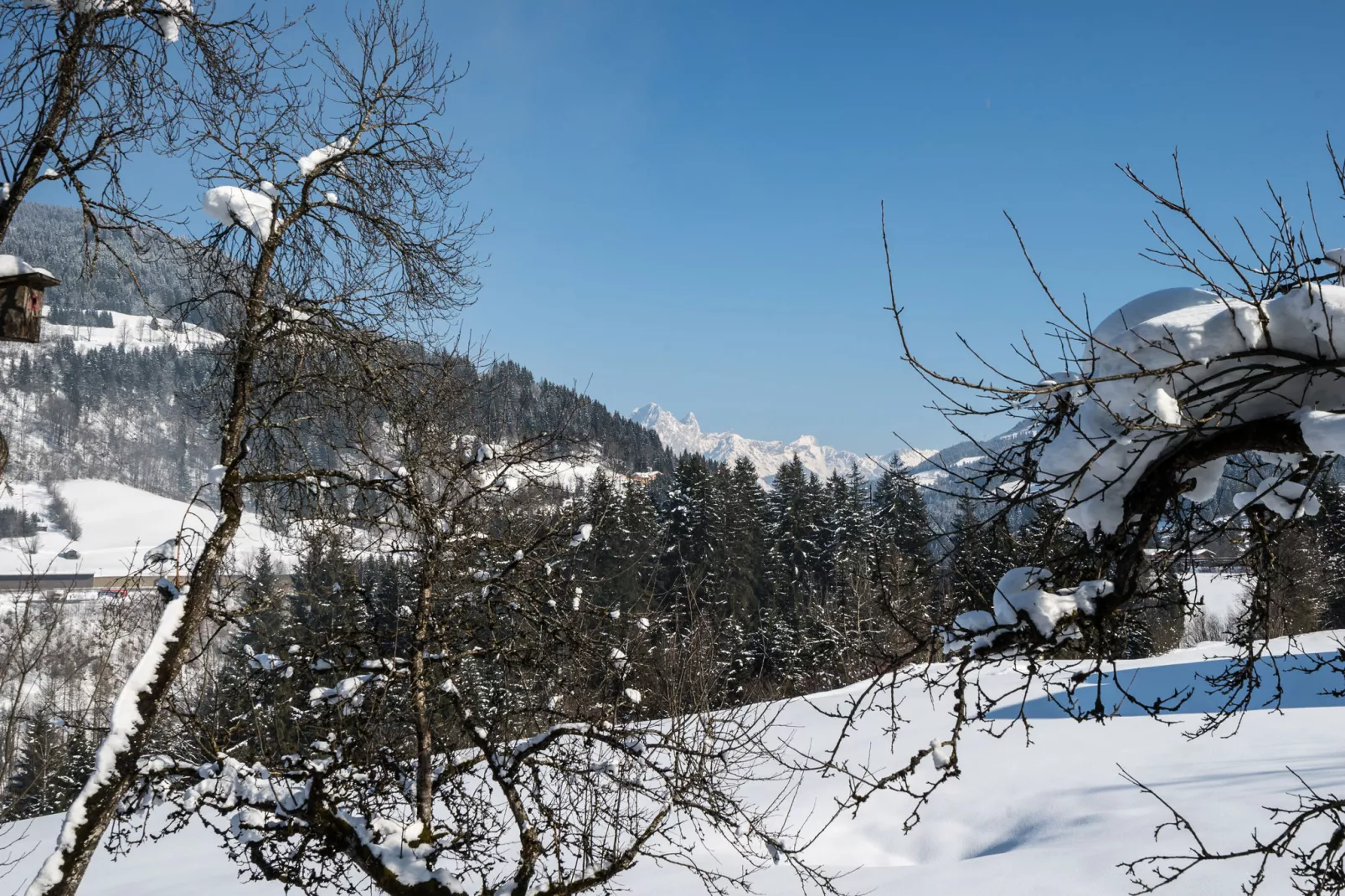 Isabella-Uitzicht winter