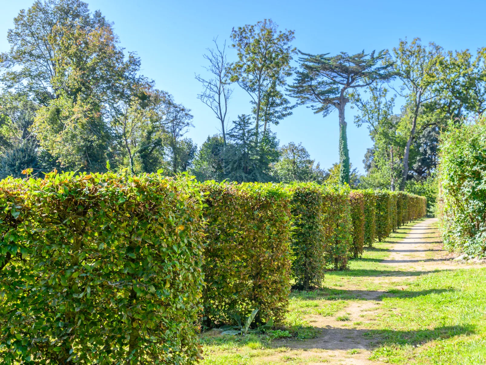 Château De Kergonano,-Buiten