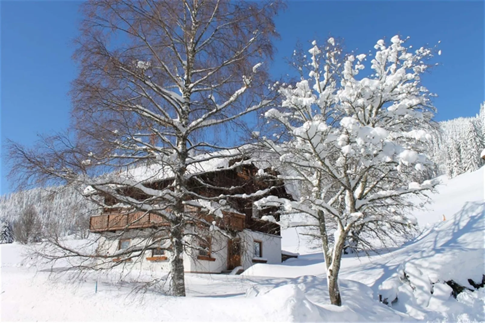 Ferienhaus Dachsteinheim-Exterieur winter