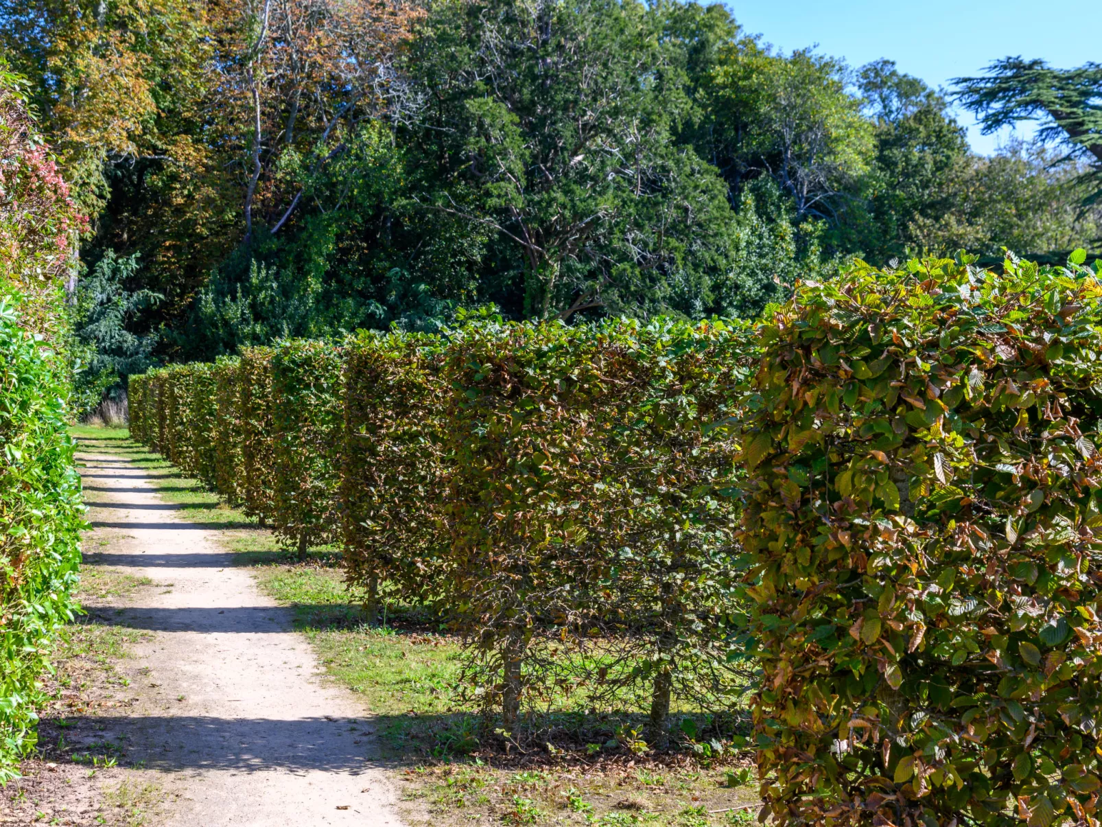 Château De Kergonano, dans l'Orangerie-Buiten