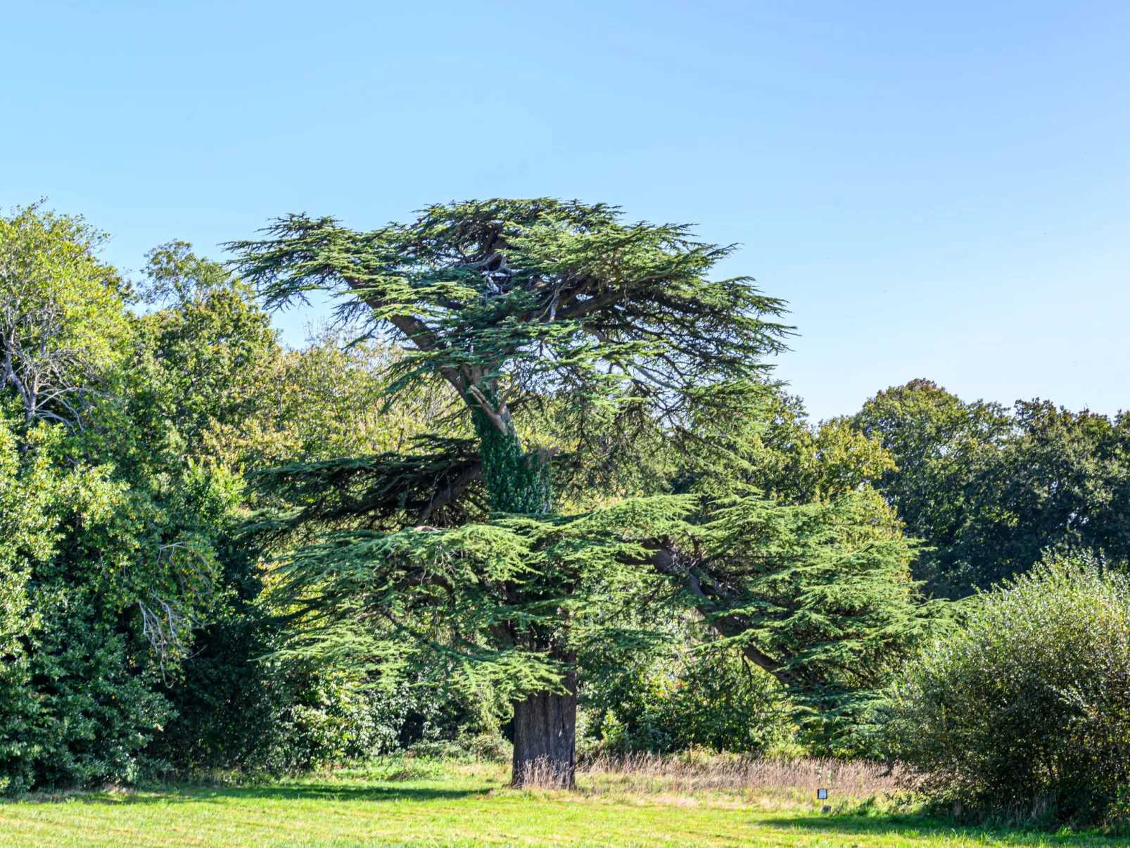 Château De Kergonano, dans l'Orangerie-Buiten