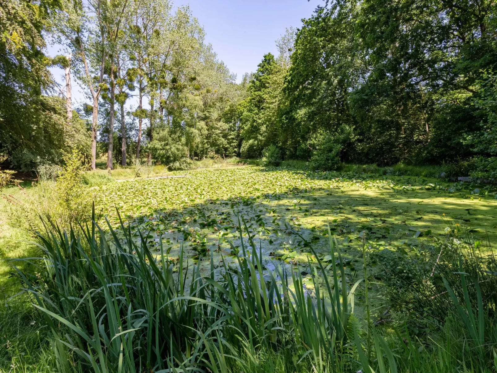 Au Verger Fleuri-Buiten