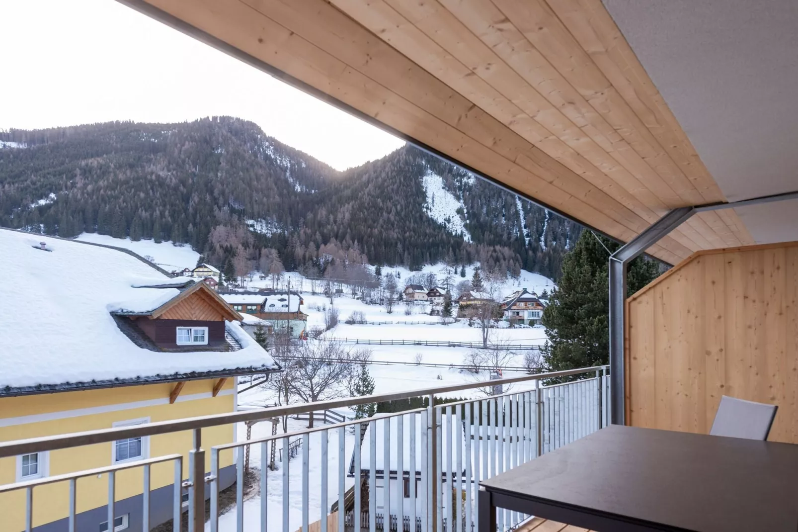 Ski & Nature Apartment Top 14-Uitzicht winter