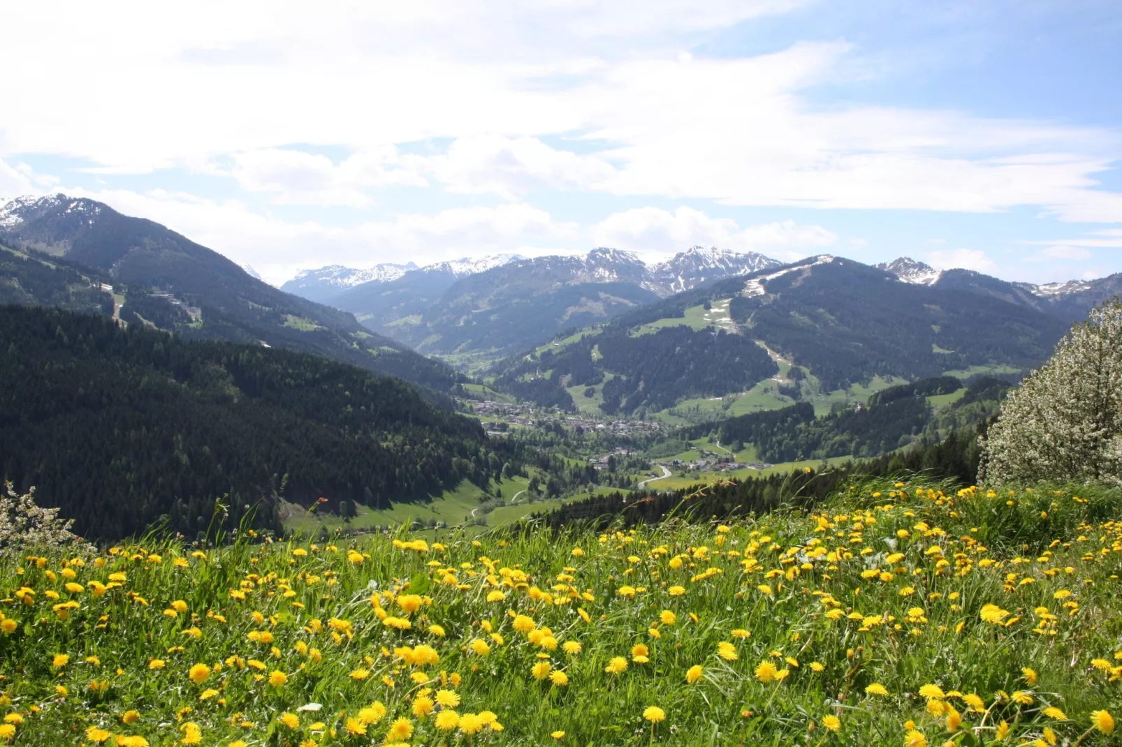 Obermoser-Uitzicht zomer