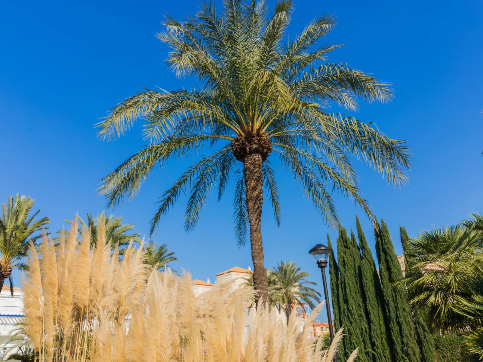 Cala Blanca Denia-Buiten