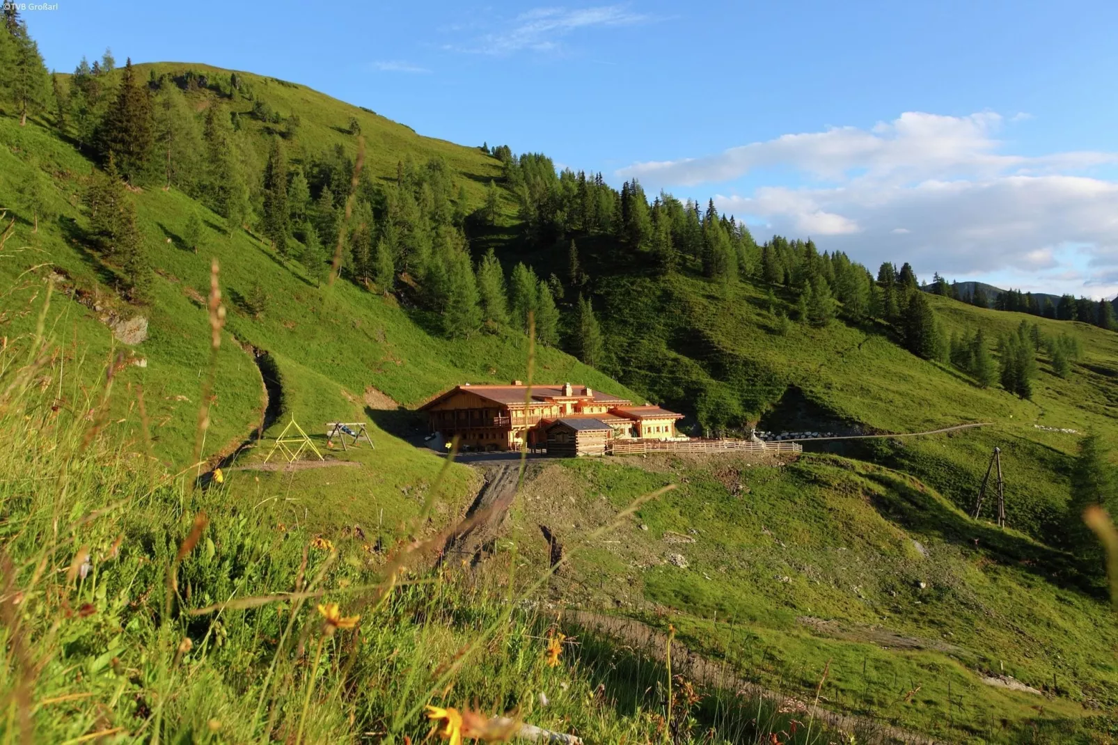 Prachtig appartement in Salzburgerland met zonnig balkon-Gebieden zomer 5km
