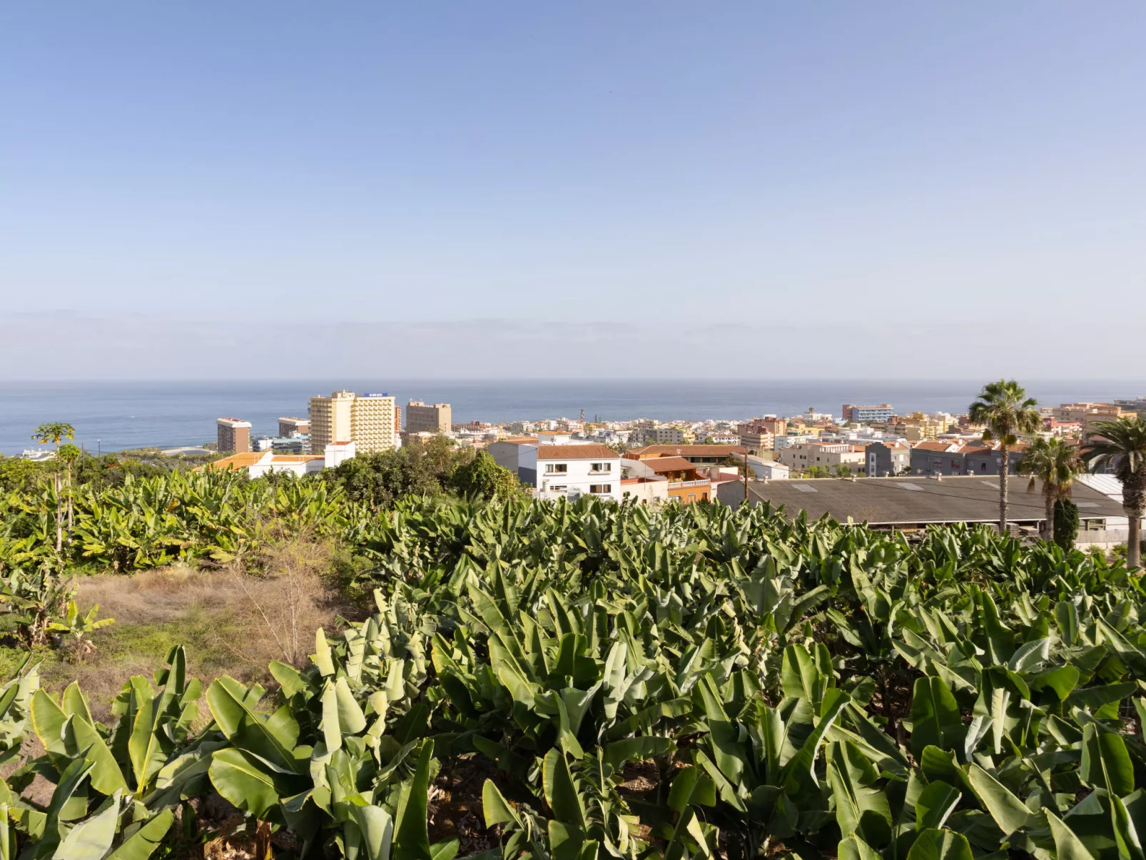 Barreto-Buiten