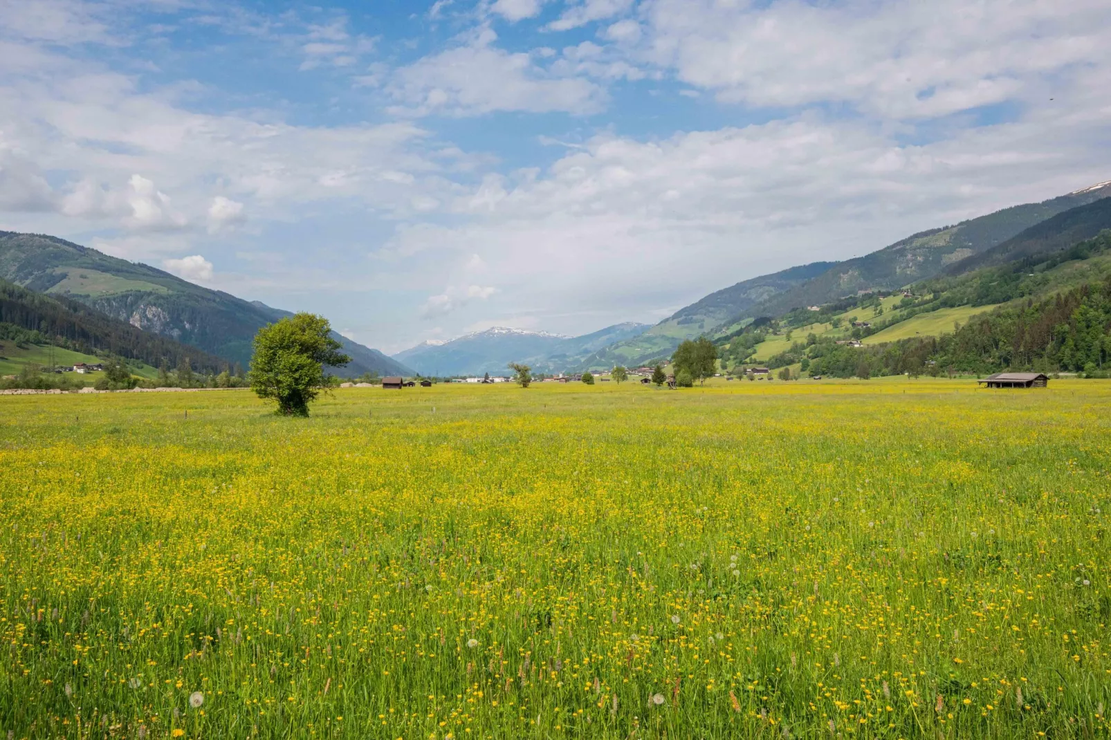 Chalet Lengberg B2-Gebieden zomer 5km