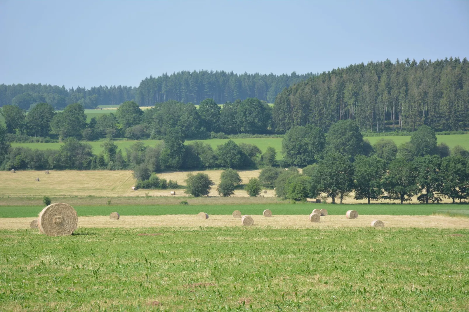 Les Boutons d'Or-Gebieden zomer 5km