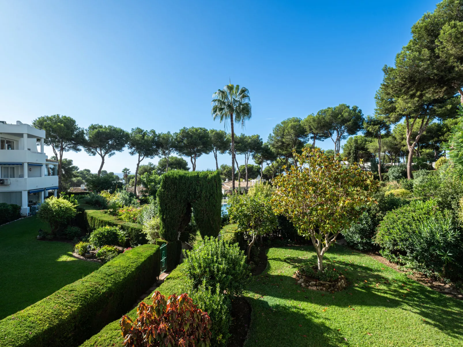 Jardin de miraflores-Buiten