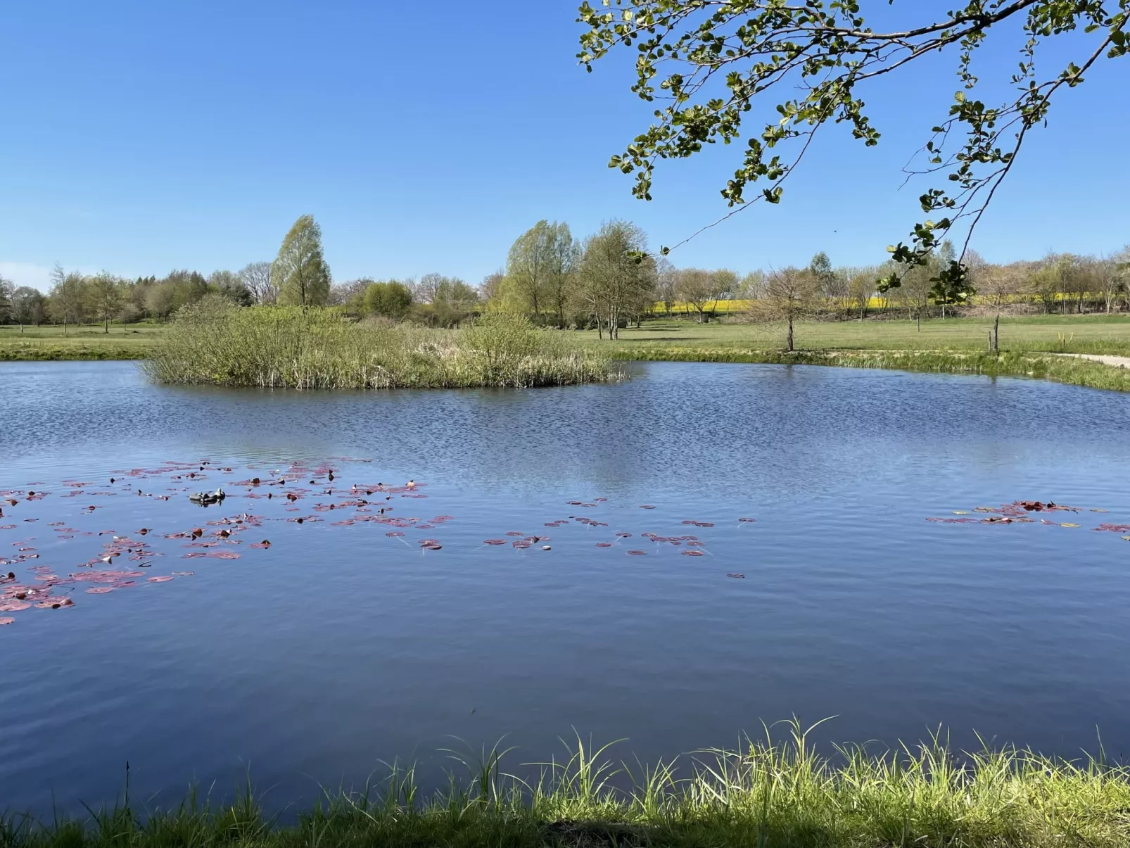 NELKE-Buiten