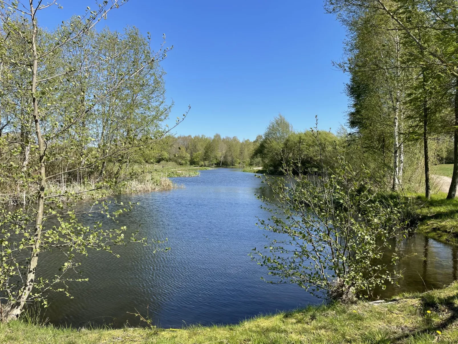 Nelke-Buiten
