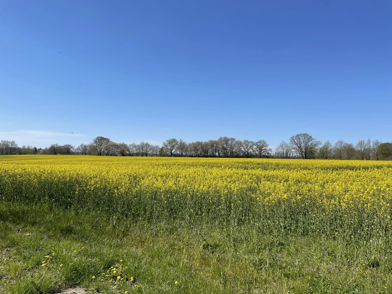 HEIDE-Buiten