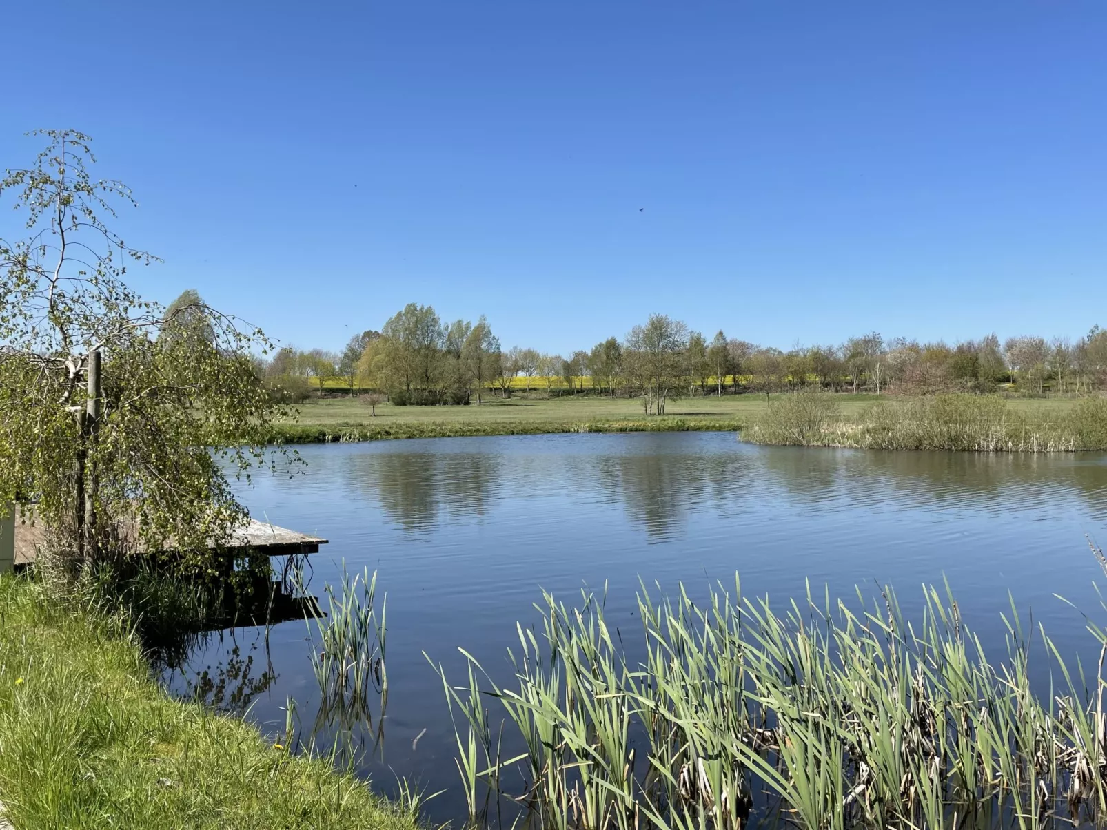 Altherscher Hof-Buiten