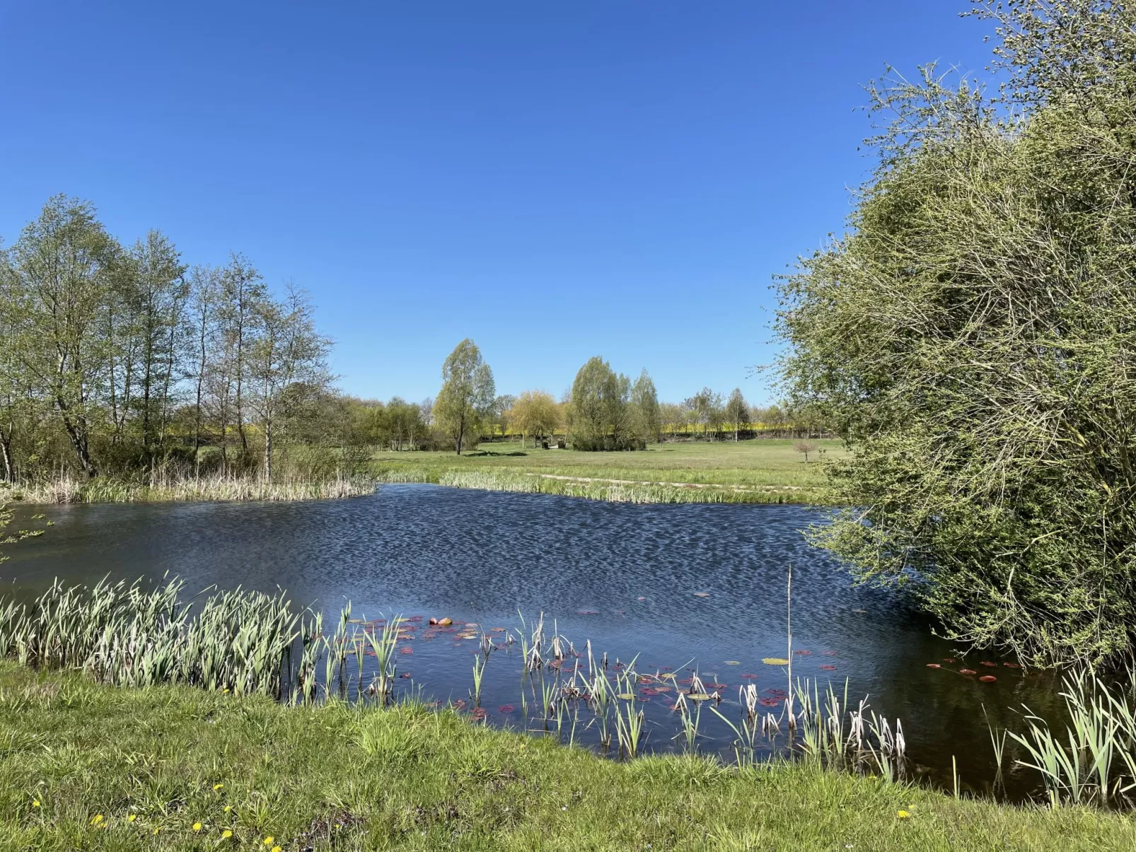 Altherscher Hof-Buiten